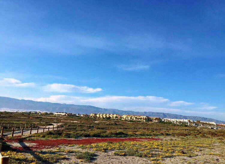 Apartamento Lujo, Primera Linea Playa, Garaje, Wifi, Piscina Climatizada Roquetas de Mar Extérieur photo